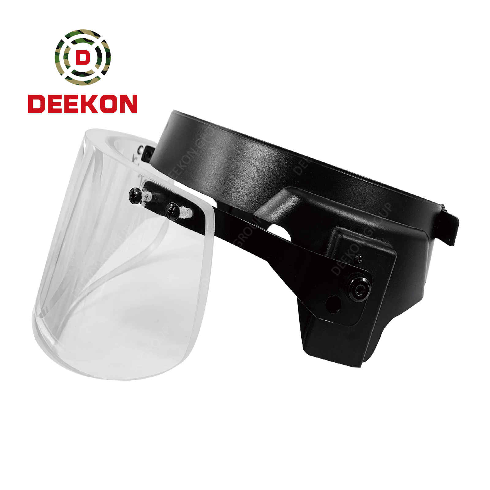 Ballistic Visor